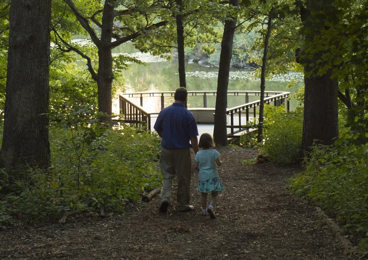 Man and child walking through woods towards river