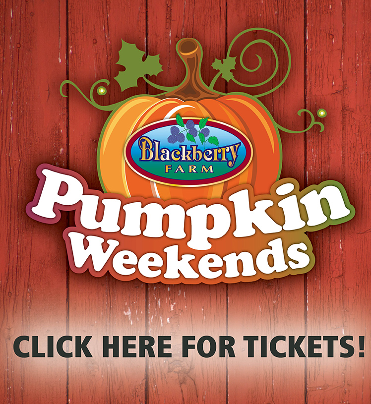 Click here for pumpkin weekends tickets