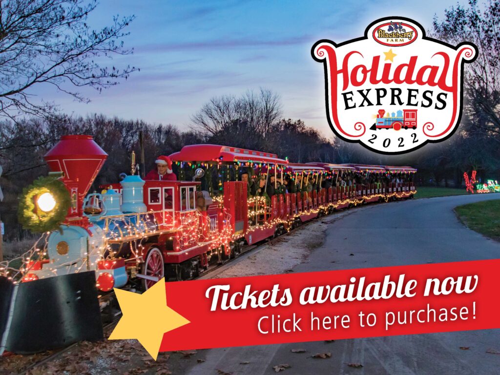 Click here to purchase Holiday Express tickets