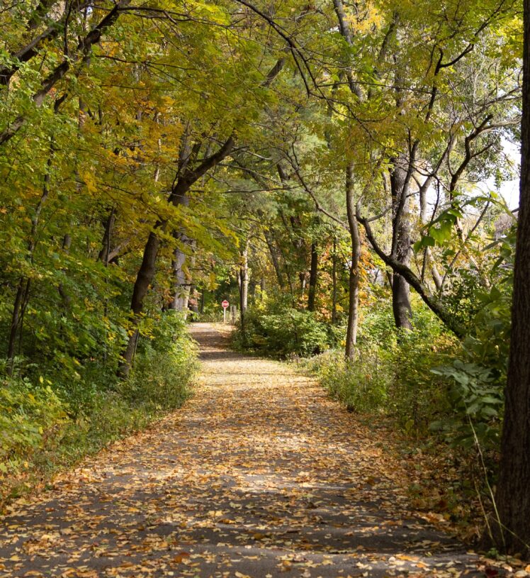 fall on the trail