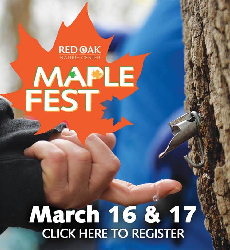 Maple Fest. Red Oak Nature Center. March 16 & 17. Saturday: 9 a.m. - 1 p.m., Sunday: 11 a.m. - 2 p.m. Click here for tickets.