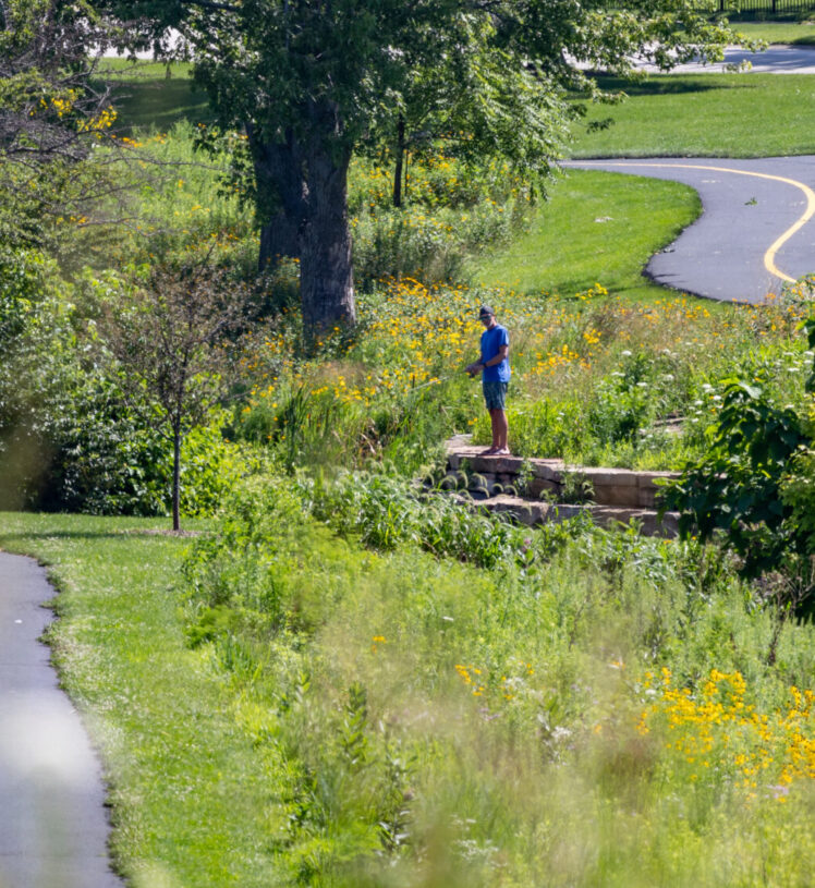 Beautiful summer park scene